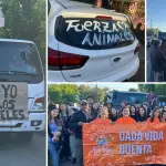 Caravana solidaria partió desde Los Ángeles en apoyo a zonas afectadas por incendios en Concepción y Ñuble, Diario La Tribuna
