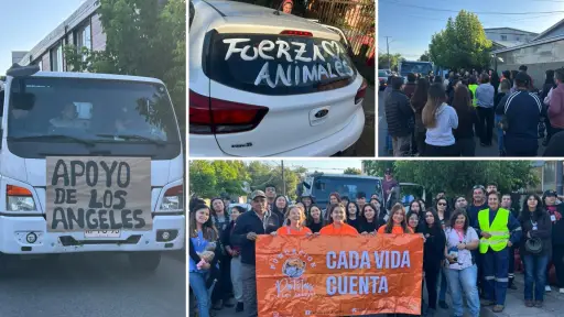 Caravana solidaria partió desde Los Ángeles en apoyo a zonas afectadas por incendios en Biobío