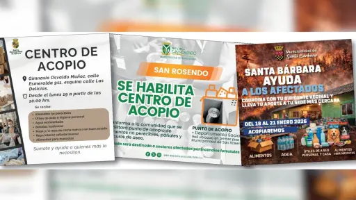 Biobío se une para ayudar a los afectados por los incendios: conoce aquí los centros de acopio