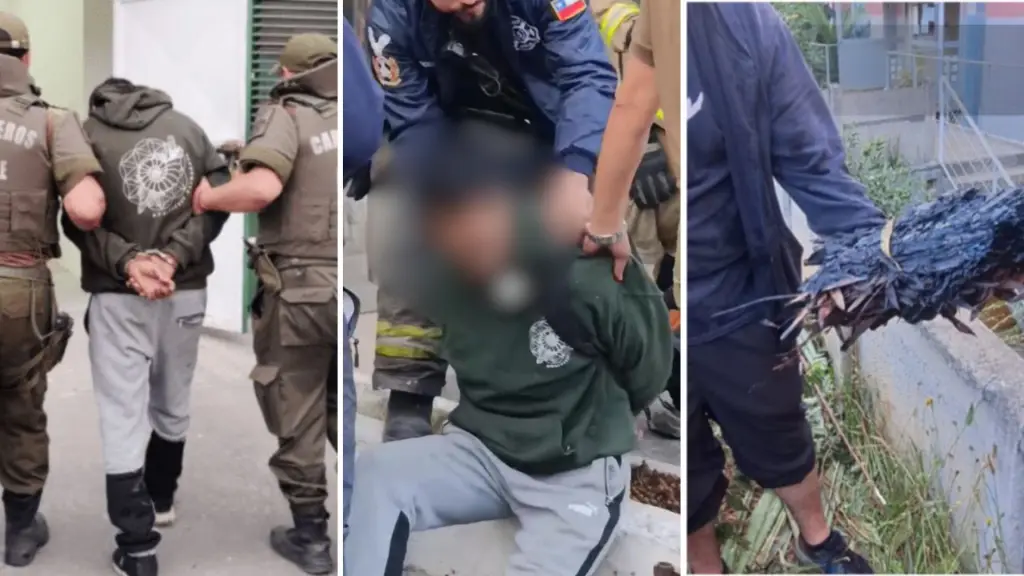 Detienen a hombre que habría intentado iniciar un incendio forestal en Penco, Diario La Tribuna