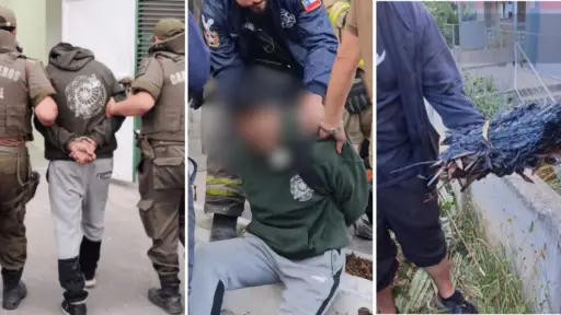 Detienen a hombre que habría intentado iniciar un incendio forestal en Penco