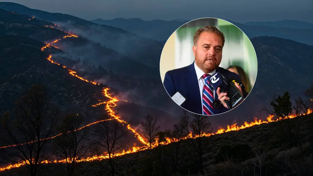 La autoridad regional sostuvo que los antecedentes técnicos dan cuenta de un comportamiento inusual del fuego marcado por aparición casi simultánea de focos en distintos puntos (contexto)., Freepik; La Tribuna