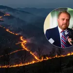 La autoridad regional sostuvo que los antecedentes técnicos dan cuenta de un comportamiento inusual del fuego marcado por aparición casi simultánea de focos en distintos puntos (contexto)., Freepik; La Tribuna