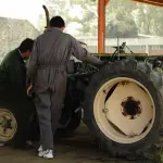 Las autoridades han prohibido el uso de maquinaria y faenas de cosecha para evitar que chispas o el calor de los motores generen nuevos focos.