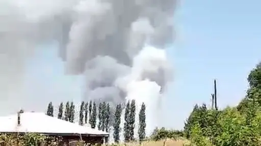 Un nuevo incendio de pastizales se registró en sector sur de Los Ángeles