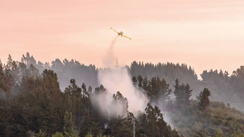 El balance regional del martes 20 de enero da cuenta de 32 siniestros registrados con superficie total afectada de 30.257,29 hectáreas., EFE | Pablo Hidalgo