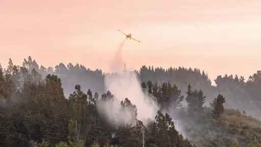 Superficie quemada en la región supera las 30 mil hectáreas: cuatro focos activos en provincia de Biobío