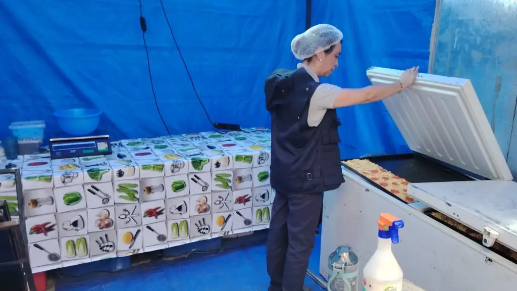 SEREMI de Salud mantuvo un equipo de la Delegación Provincial Biobío para realizar vigilancia y prevención de enfermedades debido a la eventual llegada de peregrinos., Seremi de Salud Biobío