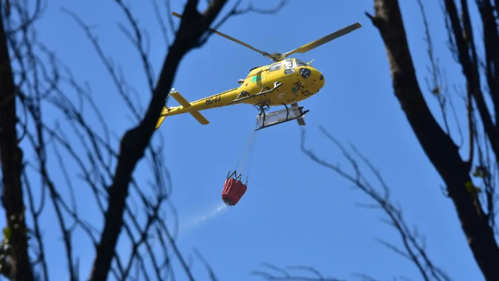 Incendios forestales Bío Bío, Archivo La Tribuna