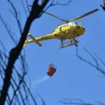 Incendios forestales Bío Bío, Archivo La Tribuna