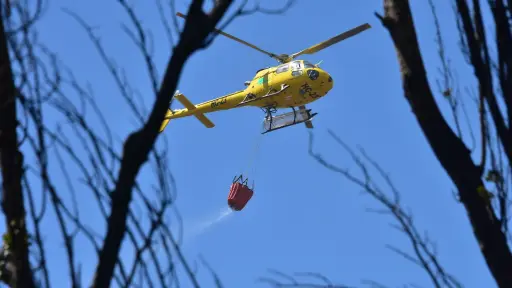 CORMA advierte riesgo crítico por ola de calor y refuerza llamado a incendio cero en Biobío y Ñuble