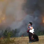 Experto recomienda utilizar mascarillas especiales por humo de incendios forestales, Contexto