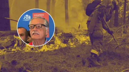 Siete incendios activos en el Biobío: Krause asegura despliegue total de recursos y apoyo interregional