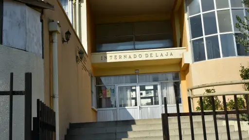 Testimonios de supervivencia y olas de ayuda ciudadana se toman las calles de Laja tras el paso del fuego