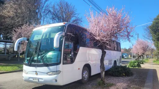 Bus solidario saldrá este sábado desde Quilleco para apoyar a damnificados por incendios