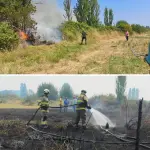 La rápida acción en el sector camino a Quinel permitió contener el avance del fuego durante la tarde del miércoles, evitando afectación a viviendas., Cuerpo de Bomberos de Cabrero