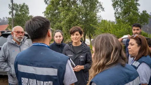 Equipos de salud mental de cuatro regiones apoyan a Biobío tras incendios forestales