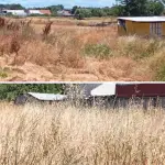 Las fiscalizaciones se enfocaron en terrenos con pastizales secos y material combustible, considerados factores de riesgo en el actual escenario de alerta amarilla (Imágenes de contexto), La Tribuna