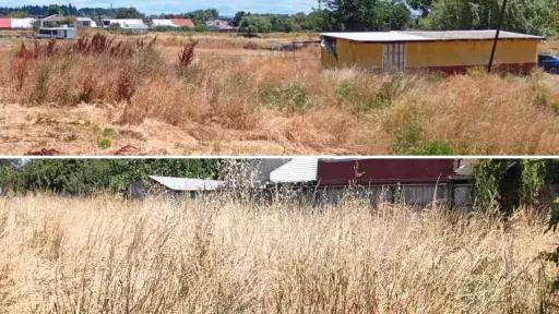 Entregan balance por predios sin limpieza en Los Ángeles: 183 infracciones y 526 notificaciones