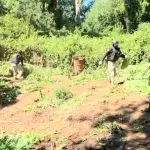 Operativo conjunto entre PDI, Carabineros de la Prefectura COP “Araucanía” y el Ejército, PDI Araucanía