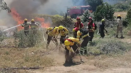 Reactivación de incendio forestal en sector La Suerte obligó despliegue de brigadas de Conaf