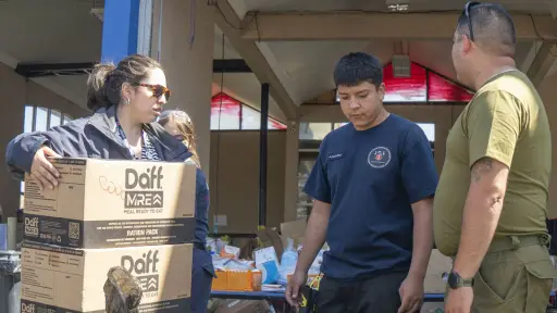 Penco y Tomé concentran la mayor cantidad de acciones sanitarias tras incendios forestales en Biobío