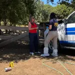 Detectives de la PDI lideran las diligencias luego de ocurridos los hechos., Ministerio Público