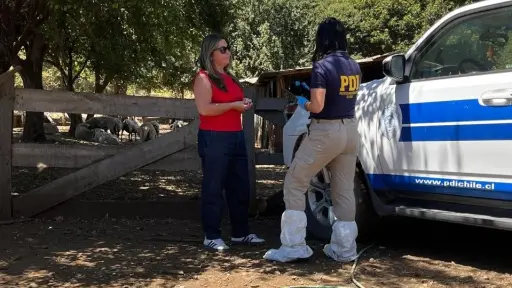 Hombre de 71 años será formalizado por homicidio ocurrido en sector rural de El Carmen