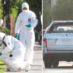 Delincuente muere tras encerrona en Maipú: dueño de casa lo atropelló para defender a su esposa, Meganoticias