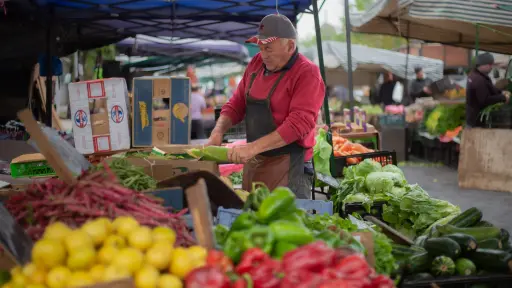 Proyecto de fortalecimiento de ferias libres queda listo para ser ley tras aprobación del Congreso