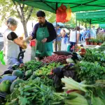 Productores locales instalan cada viernes sus puestos en el centro de la ciudad como parte del programa Prodesal., Municipalidad de Los Ángeles