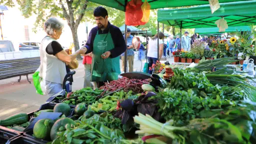 Feria Prodesal de Plaza Pinto continuará operando tras aprobación municipal en Los Ángeles