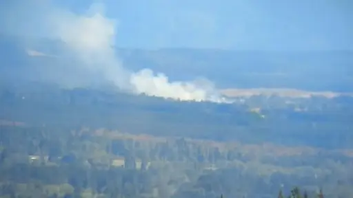 AHORA: Incendio forestal en Laja moviliza a brigadas aéreas y terrestres