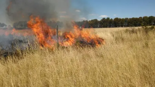 Incendio de pastizales de gran magnitud moviliza a tres compañías de Bomberos de Laja