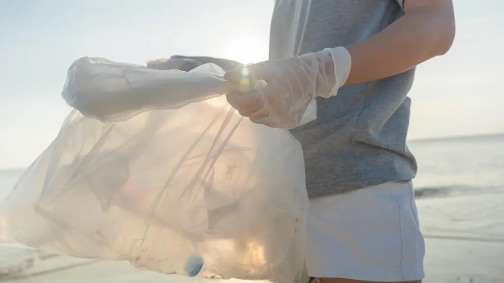 voluntario, contaminación, botella de plástico, medio ambiente, mar, playa, sucio, problema, calentamiento global, ecología, basura, persona, desperdicio, oceano, arena, reciclaje, proteccion, descarte, naturaleza, día de la tierra, reciclaje, reciclaje, reciclaje, reciclaje, reciclaje, Pixabay