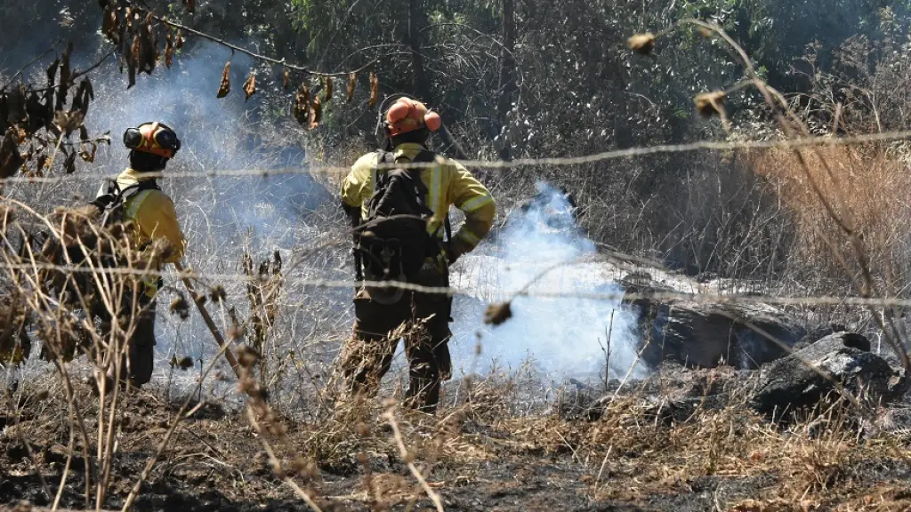 Incendios forestales, Archivo La Tribuna