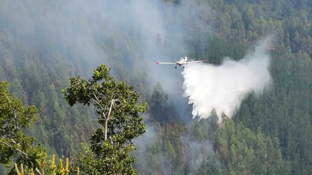 Incendio forestal Santa Juana - Nacimiento, Fredy Muñoz / Archivo La Tribuna