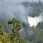 Incendio forestal Santa Juana - Nacimiento, Fredy Muñoz / Archivo La Tribuna