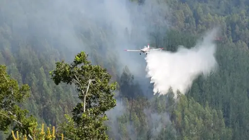 Biobío refuerza capacidad de respuesta ante meses de mayor riesgo de incendios forestales