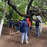 Delegación del Instituto O’Higginiano de Chile se reunió con autoridades comunales para abordar el estado del árbol patrimonial emplazado en Las Canteras., Cedida