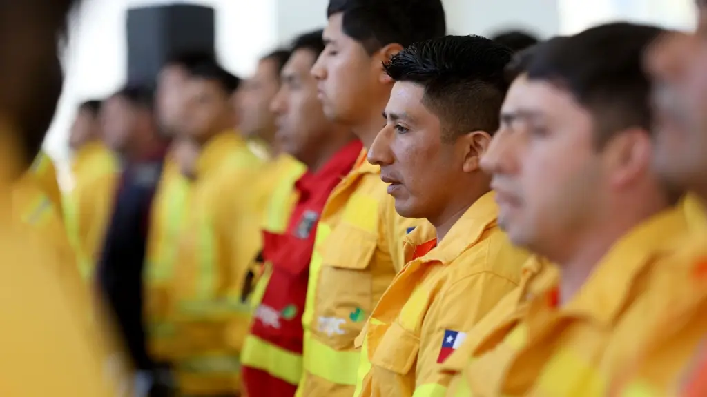 Día del Brigadista Forestal, CONAF