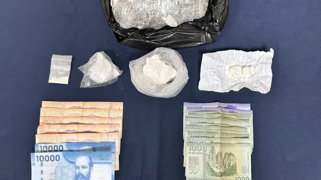 Las diligencias fueron lideradas por detectives de la PDI, PDI Araucanía