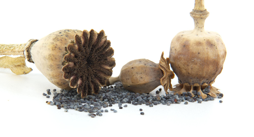 Bienestar / contexto