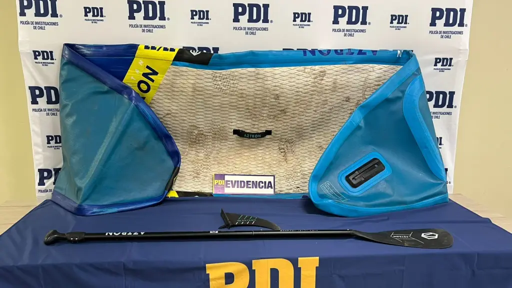 Especie recuperada por detectives de la PDI, PDI Araucanía