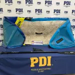 Especie recuperada por detectives de la PDI, PDI Araucanía