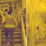 Referencial , Diario La Tribuna