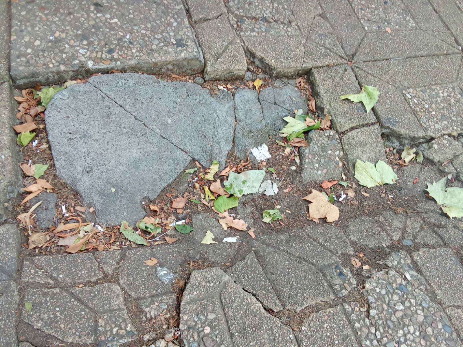 Los desniveles en la calle preocupan a vecinos y comerciantes del sector, dados los repetitivos accidentes. / Cedida