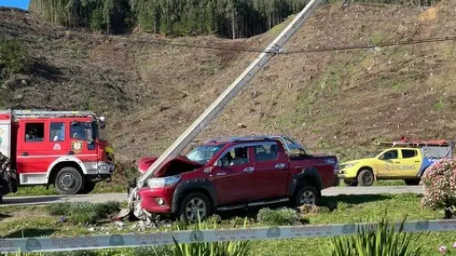 Laja y Nacimiento lideran cortes de luz por choque a postes: reposiciones toman hasta seis horas