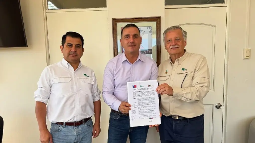 Municipio y CONAF firman convenio de extensionista forestal para Nacimiento, La Tribuna