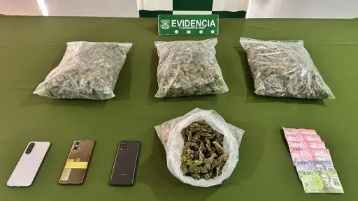Tres kilos de droga y dos detenidos dejó operativo policial al norte de la provincia de Biobío